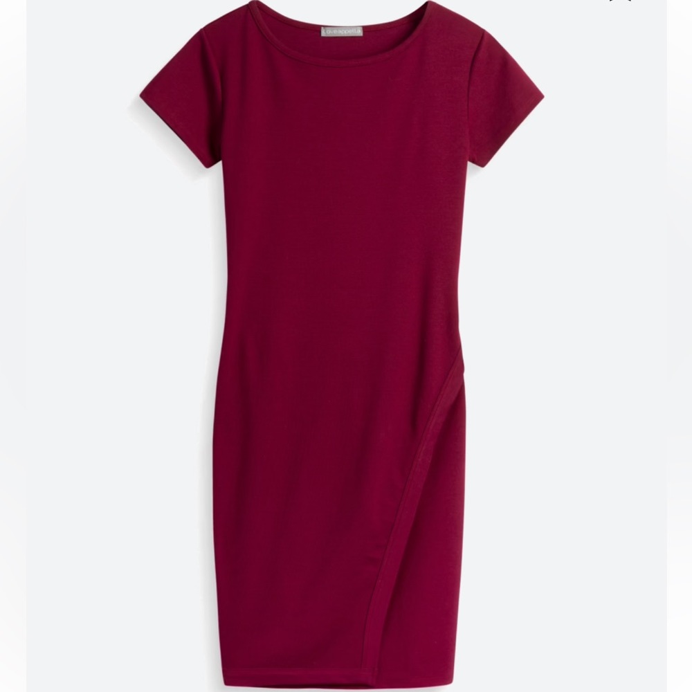 Loveappella Maroon Dress LP